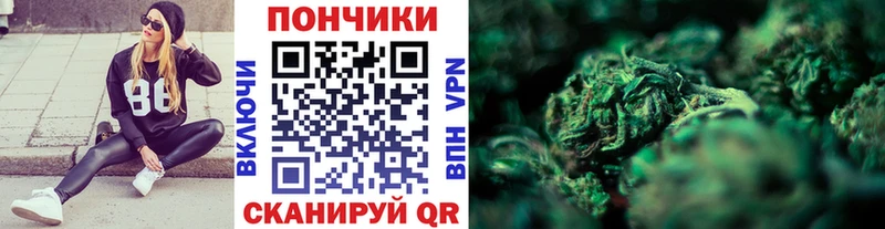 Канабис семена  Сегежа 